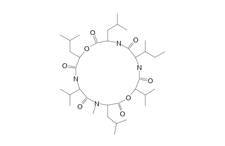 SPORIDESMOLIDE-5