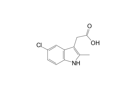 5-chloro-2-methylindole-3-acetic acid