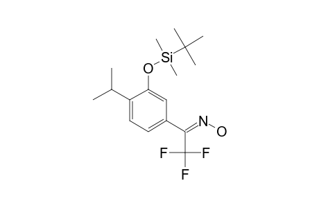 1-[3-(TERT.-BUTYLDIMETHYLSILANYLOXY)-4-ISOPROPYLPHENYL]-2,2,2-TRIFLUOROETHANONE_OXIME;MAJOR_ISOMER