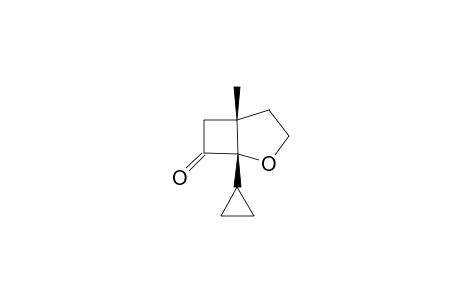 1-CYCLOPROPYL-5-METHYL-2-OXABICYCLO-[3.2.0]-HEPTAN-7-ONE