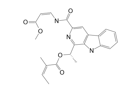 DICHOTOMINE_X