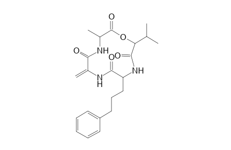 Am toxin II