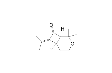 3-Oxabicyclo[4.2.0]octan-8-one, 2,2,6-trimethyl-7-(1-methylethylidene)-, cis-(.+-.)-