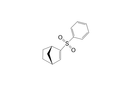 2-(PHENYLSULFONYL)-NORBORNENE