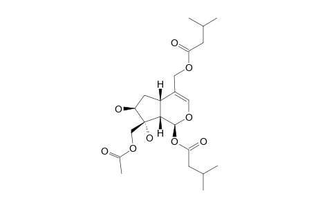 JATAMANVALTRATE-G