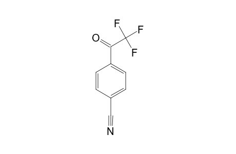 2-CYANOPHENYL-TRIFLUOROMETHYL-CETONE