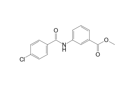 m-(p-chlorobenzamido)benzoic acid, methyl ester