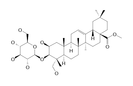 3-O-BETA-D-GLUCOPYRANOSYL-BAYOGENIN-METHYLESTER