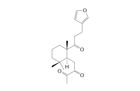 GALEOPSITRIONE