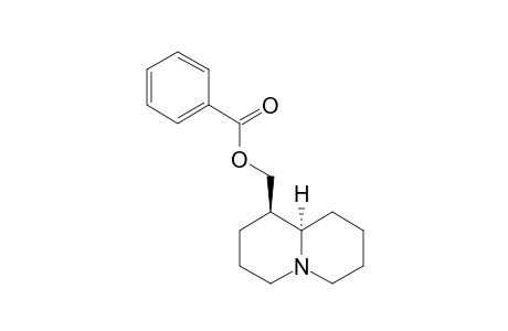 O-BENZOYL-LUPININE