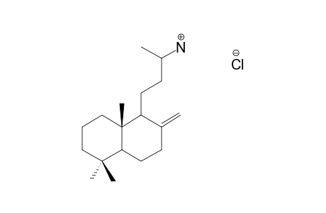 (13RS)-14,15-DINORLABD-8(17)-EN-13-AMINE-HYDROCHLORIDE;STEREOISOMER-#1