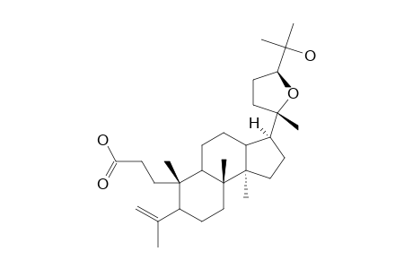 (24S)-EICHLERIANIC-ACID