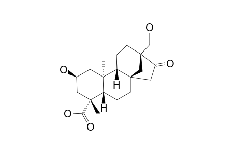 ENT-2-ALPHA,17-DIHYDROXY-16-KETOBEYERAN-19-OIC_ACID