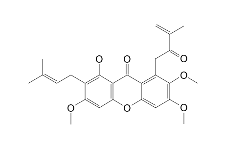 1-HYDROXY-3,6,7-TIMETHOXY-2-(3-METHYLBUT-2-ENYL)-8-(2-OXO-3-METHYLBUT-3-ENYL)-XANTHONE