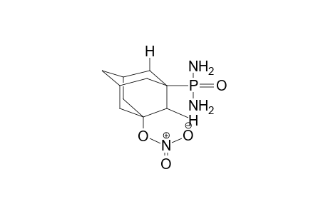 1-NITROXY-3-DIAMIDOPHOSPHORYLADAMANTANE