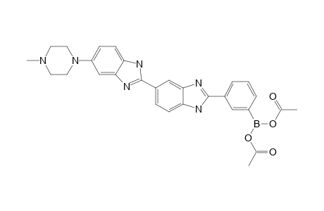 3-{5'-[5''-(4'''-METHYLPIPERAZIN-1'''-YL)-BENZIMIDAZOL-2''-YL]-BENZIMIDAZOL-2'-YL}-PHENYLBORONIC-ACID-DIACETATE