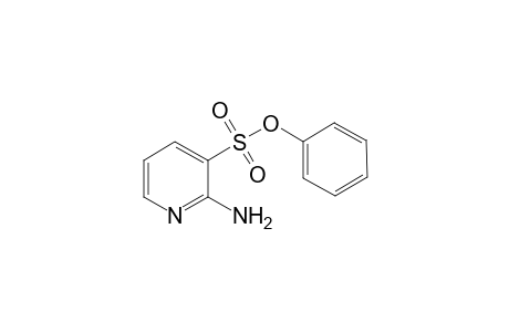 Phenyl 2-Aminopyidine-3-sulfonate