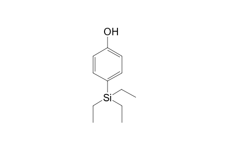 p-(Triethylsilyl)phenol