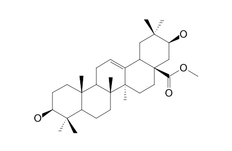 28-O-METHOXY-MACHAERINIC-ACID