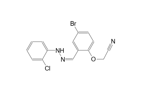 (4-bromo-2-{(Z)-[(2-chlorophenyl)hydrazono]methyl}phenoxy)acetonitrile