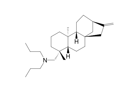 ENT-KAUR-16-EN-19-N,N-DI-N-PROPYLAMINE