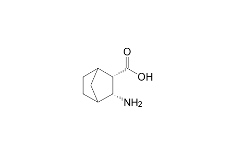 (2S,3R)-3-amino-2-bicyclo[2.2.1]heptanecarboxylic acid