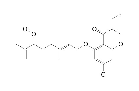 OLYMPICIN_D;4,6-DIHYDROXY-2-O-(6''-HYDROPEROXY-3'',7''-DIMETHYL-2'',7''-OCTADIENYL)-1-(2'-METHYLBUTANOYL)-BENZENE