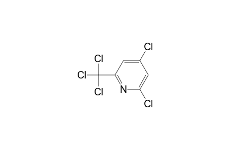 2,4-Dichloro-6-(trichloromethyl)pyridine