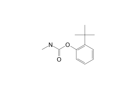 2-TERT.-BUTYL-PHENYL-N-METHYLCARBAMATE