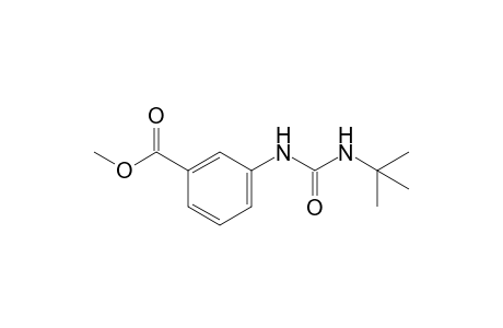 m-(3-tert-butylureido)benzoic acid, methyl ester