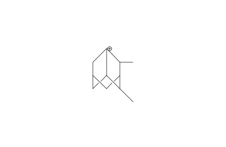 2,4-Dimethyl-1-adamantyl cation