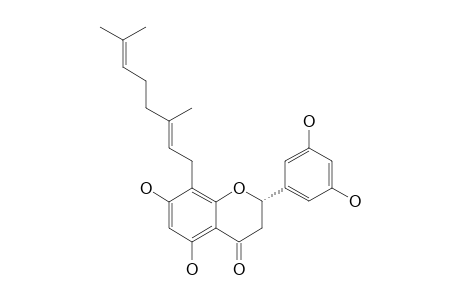 (2-S)-5,7,3',5'-TETRAHYDROXY-8-[3'',8''-DIMETHYLOCTA-2''-(E),7''-DIENYL]-FLAVANONE