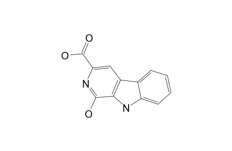 DICHOTOMINE_XV