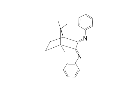 (E,E)-N,N'-DIPHENYL-2,3-BIS-(IMINO)-CAMPHANE