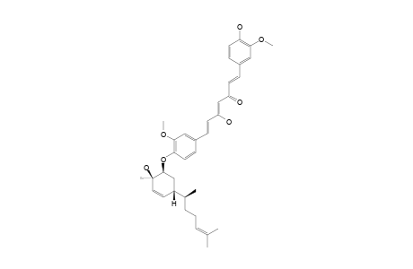 TERPECURCUMIN_C