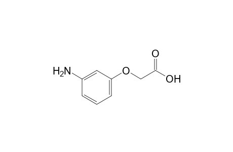 (m-aminophenoxy)acetic acid