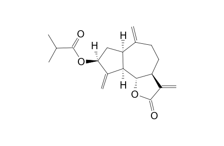 Zaluzanin C isobutyrate