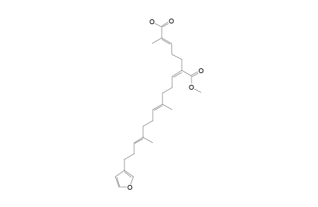 ISOFUROSPONGIN-4