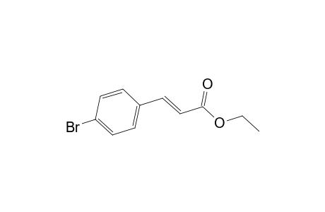 Ethyl trans-4-bromocinnamate