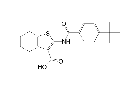 2-[(4-tert-butylbenzoyl)amino]-4,5,6,7-tetrahydro-1-benzothiophene-3-carboxylic acid