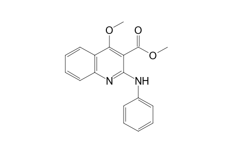 2-anilino-4-methoxy-3-quinolinecarboxylic acid, methyl ester