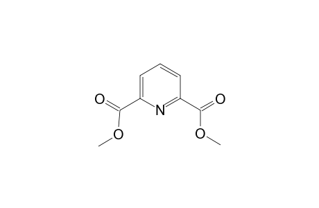 2,6-Pyridinedicarboxylic acid, dimethyl ester