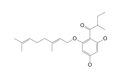 OLYMPICIN_A;4,6-DIHYDROXY-2-O-(3'',7''-DIMETHYL-2'',6''-OCTADIENYL)-1-(2'-METHYLBUTANOYL)-BENZENE