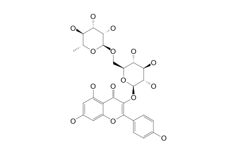 KAEMPFEROL-3-RUTINOSIDE