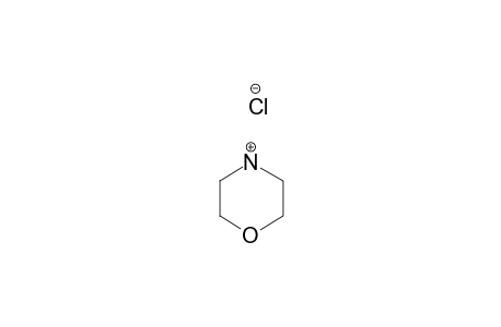 Morpholine hydrochloride