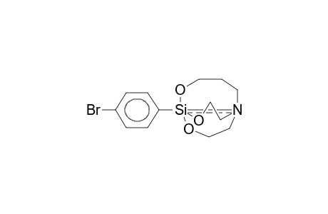 1-(4-BROMOPHENYL)HOMOSILATRANE