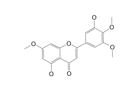 LETHEDOCIN;7,3',4'-TRI-O-METHYLTRICETIN