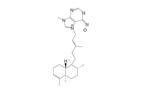 AGELOXIME_B