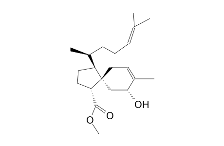 VISCIDANE