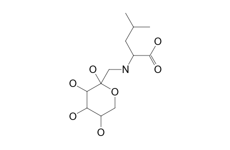 ARP GLUCLEU(beta P)